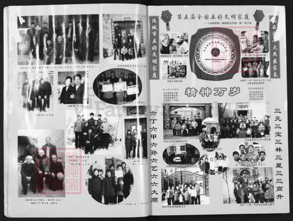 山西省运城市芮城县阳城镇杨氏族谱-杨氏家谱.pdf电子版预览图5