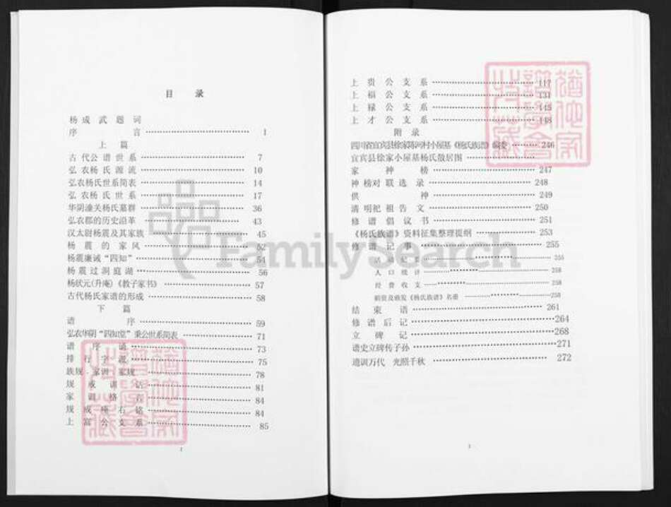 四川省宜宾市叙州区杨氏四知堂族谱-杨氏族谱.pdf电子版预览图2