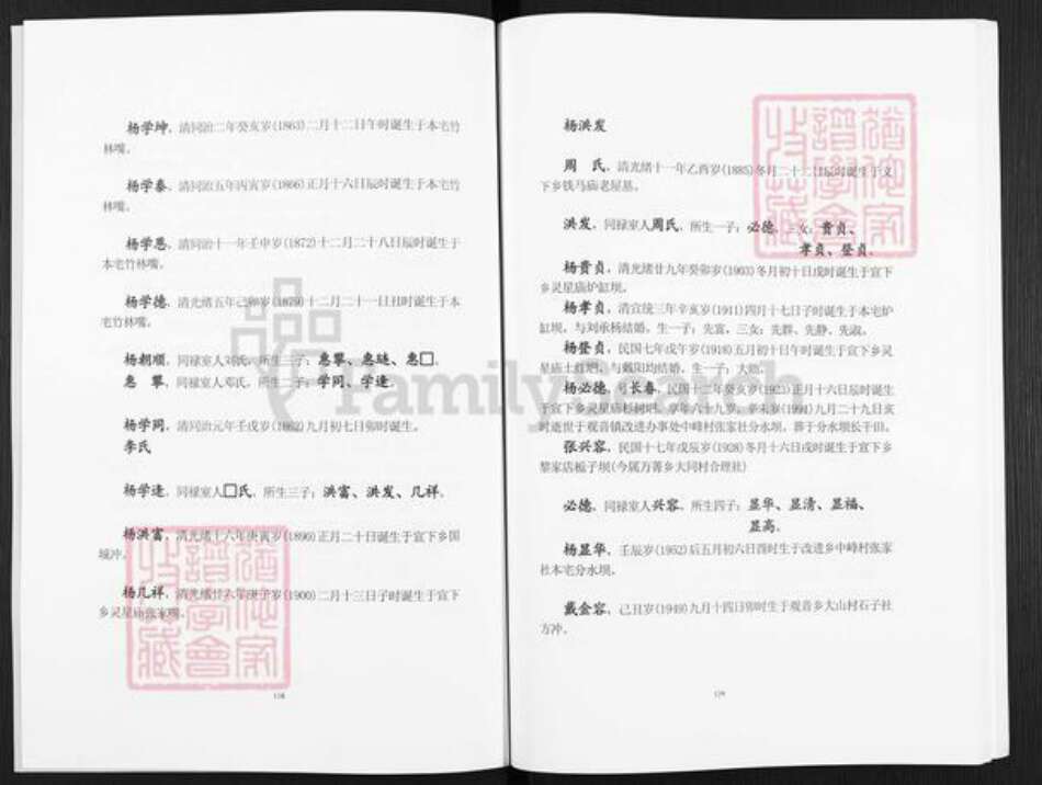 四川省宜宾市叙州区杨氏四知堂族谱-杨氏族谱.pdf电子版预览图5