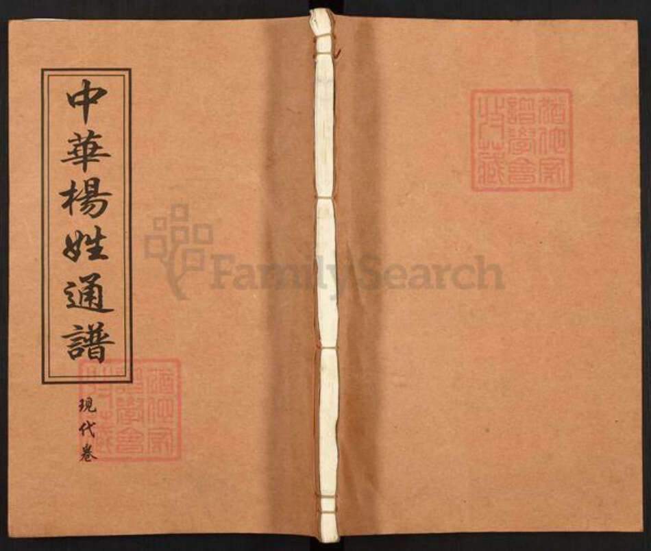 湖南省邵阳市邵东市杨氏四知堂族谱-邵东新桥杨氏六修兴房支谱.pdf电子版缩略图