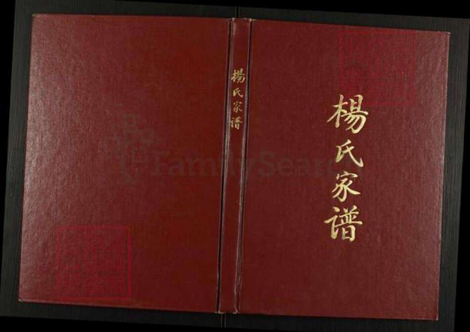 河北省廊坊市永清县永清镇杨氏族谱-杨氏家谱.pdf电子版缩略图