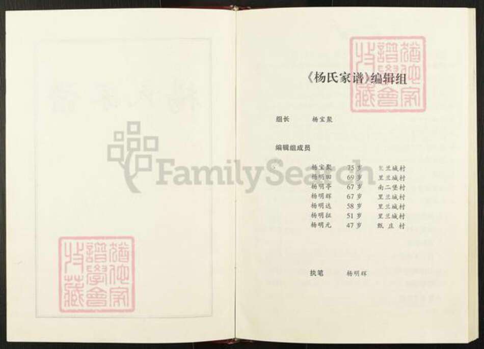 河北省廊坊市永清县永清镇杨氏族谱-杨氏家谱.pdf电子版预览图2