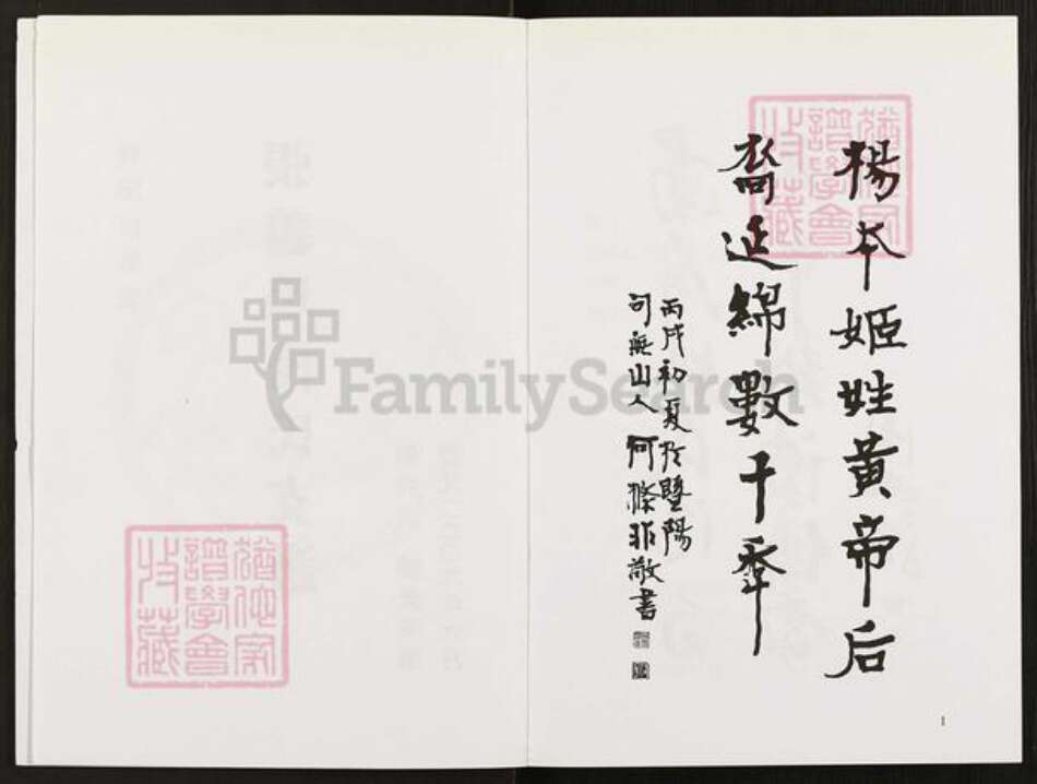 浙江省绍兴诸暨市草塔杨氏族谱-张义坞杨氏支谱.pdf电子版预览图2