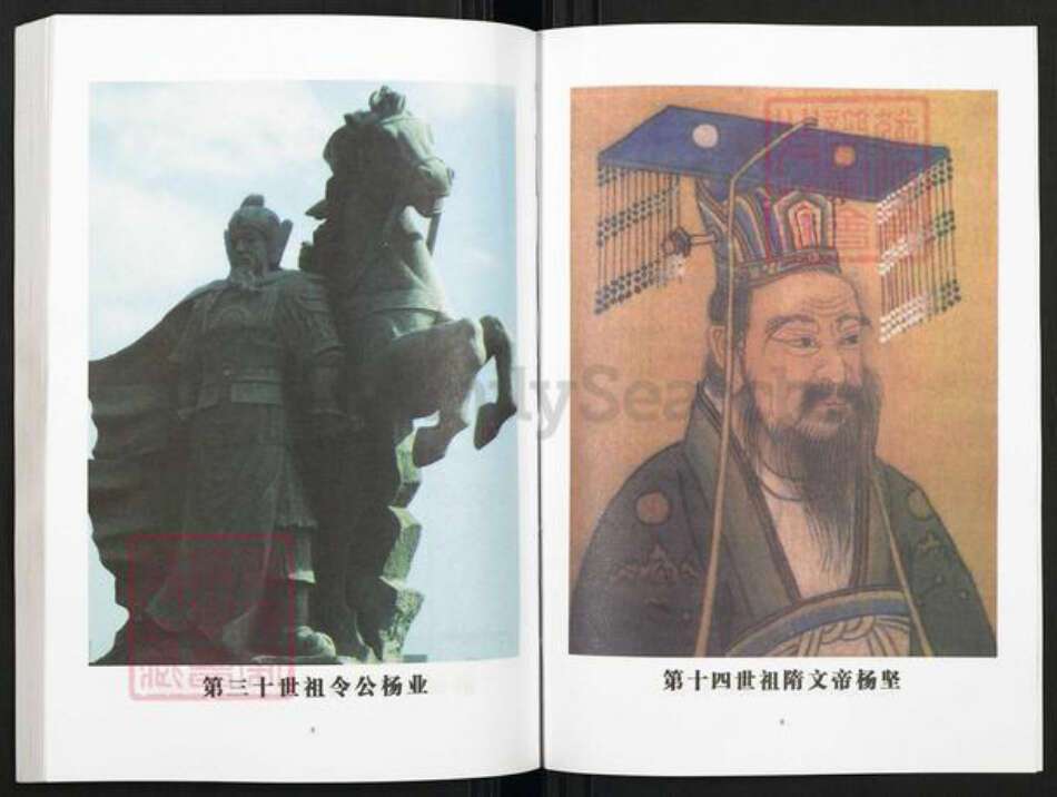 河南省洛阳市老城区杨氏四知堂族谱-杨氏祖谱.pdf电子版预览图5