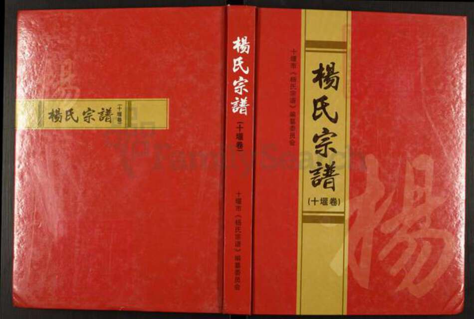 湖北省十堰市杨氏四知堂族谱-杨氏宗谱(十堰卷).pdf电子版缩略图