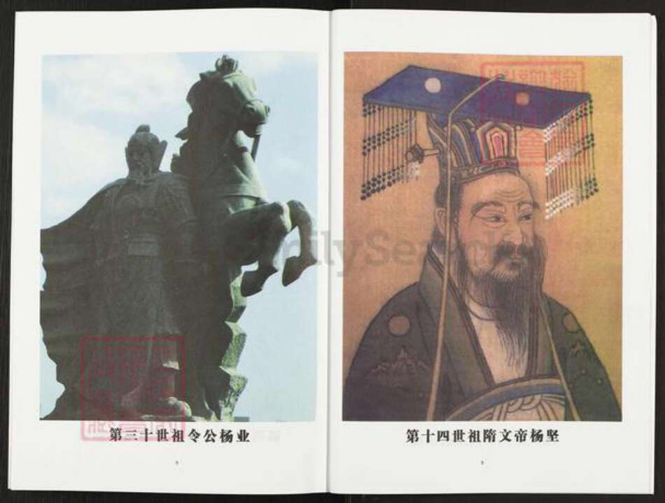 河南省洛阳市栾川县栾川乡杨氏四知堂族谱-杨氏祖谱.pdf电子版预览图5