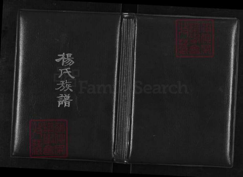 山西省太原市清徐县清源镇杨氏族谱-上阎村杨氏续修族谱.pdf电子版缩略图