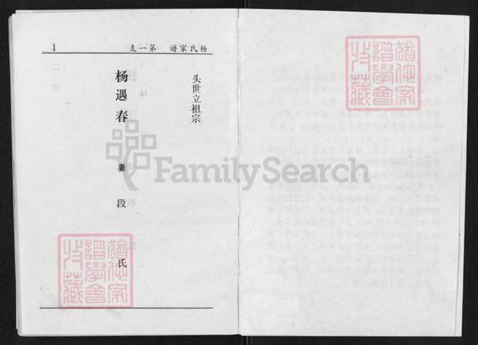 山西省太原市清徐县清源镇杨氏族谱-上阎村杨氏续修族谱.pdf电子版预览图5