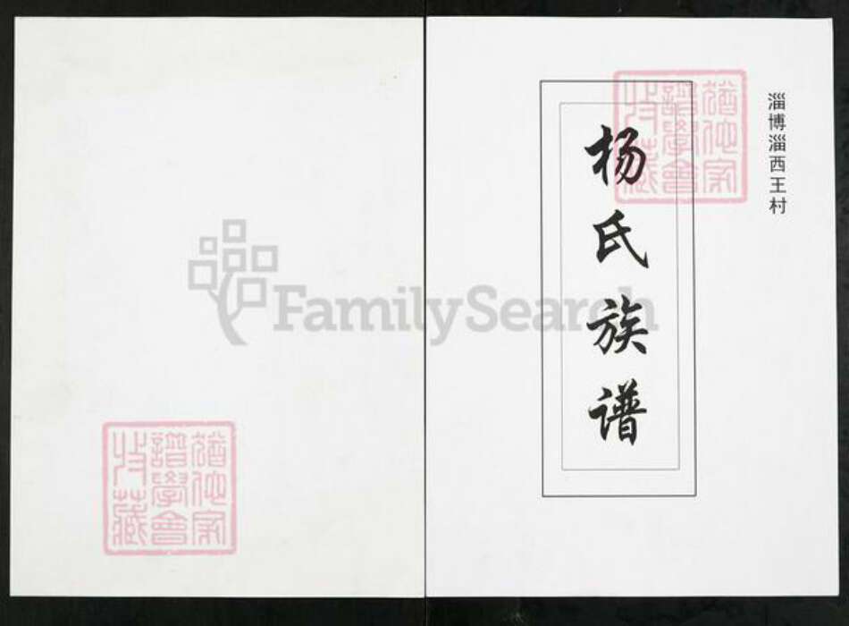 山东省淄博市周村区杨氏族谱-杨氏族谱.pdf电子版缩略图