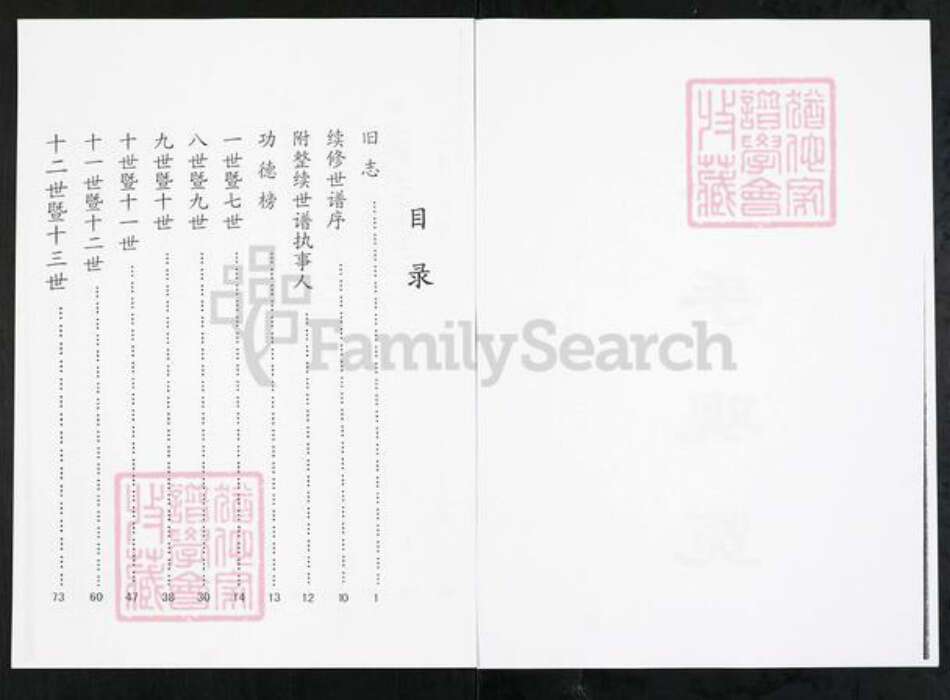 山东省淄博市周村区杨氏族谱-杨氏族谱.pdf电子版预览图2