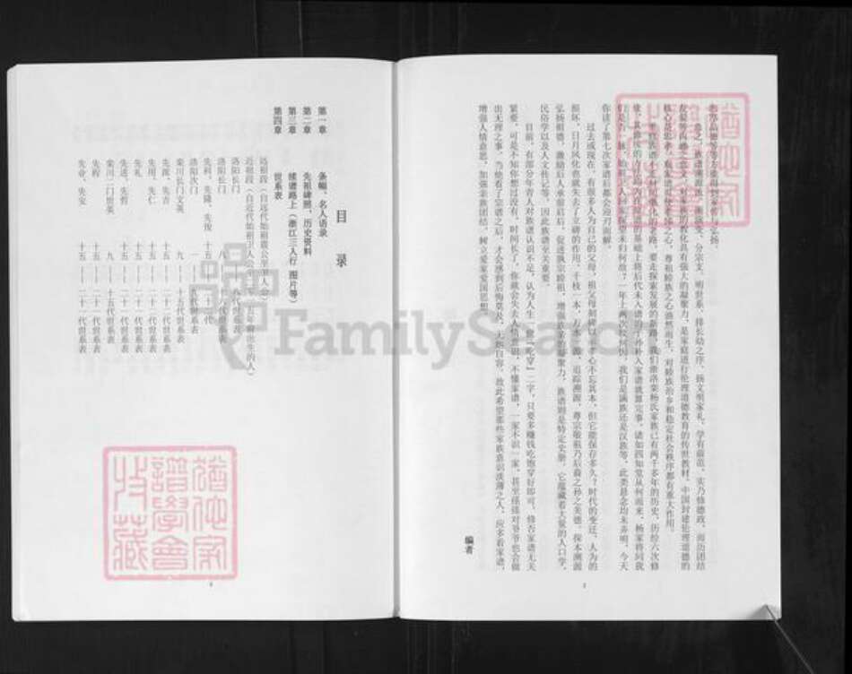 河南省洛阳市杨氏四知堂族谱-杨氏祖谱.pdf电子版预览图2