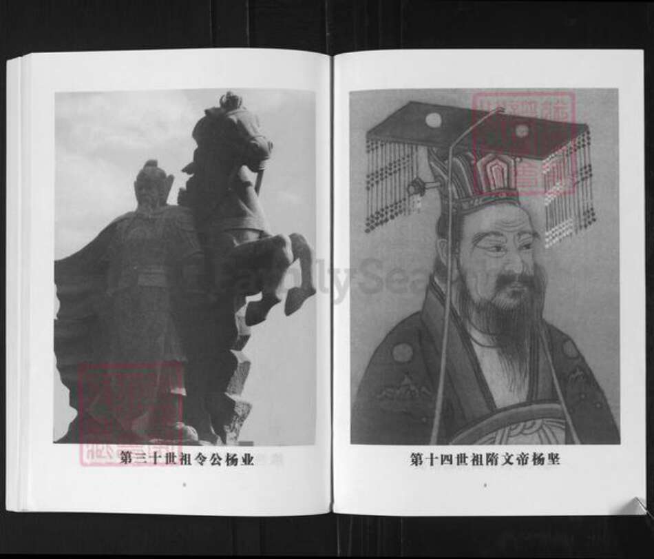 河南省洛阳市杨氏四知堂族谱-杨氏祖谱.pdf电子版预览图5