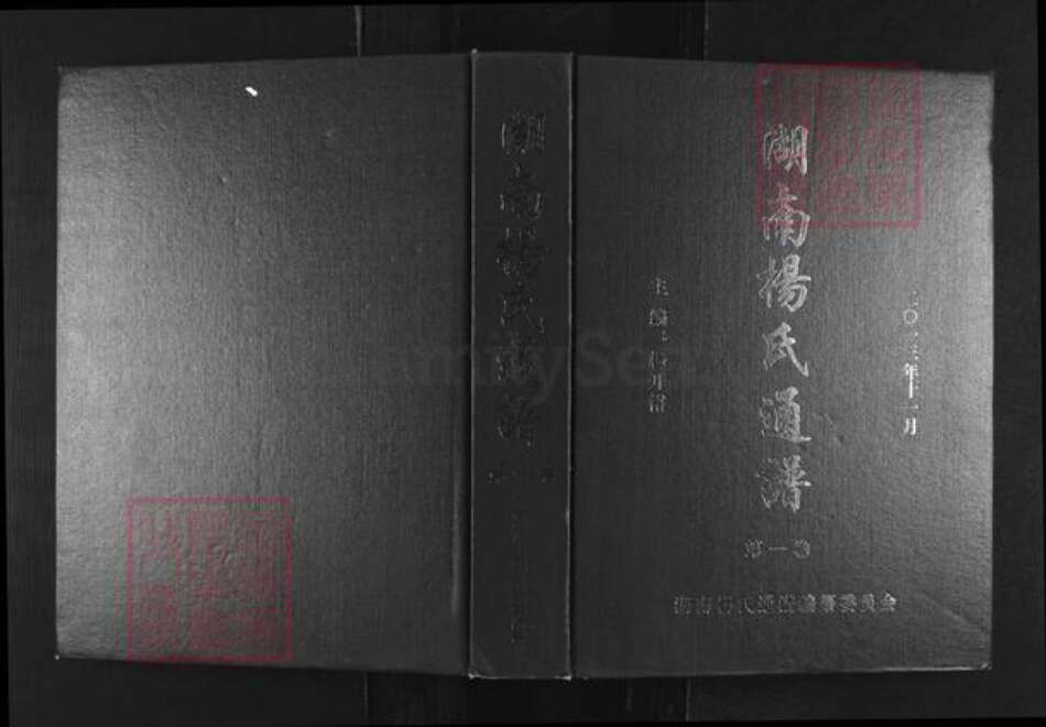 湖南省杨氏四知堂族谱-湖南杨氏通谱.pdf电子版缩略图
