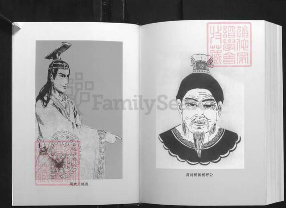 湖南省杨氏四知堂族谱-湖南杨氏通谱.pdf电子版预览图5