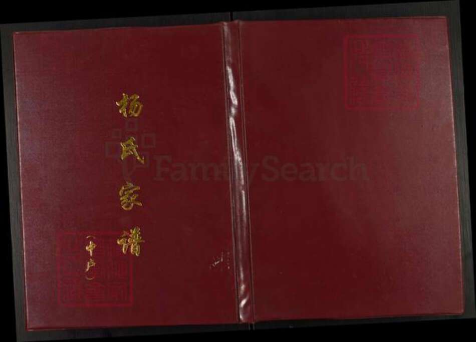 河南省南阳市镇平县晁陂镇杨氏族谱-杨氏家谱.pdf电子版缩略图