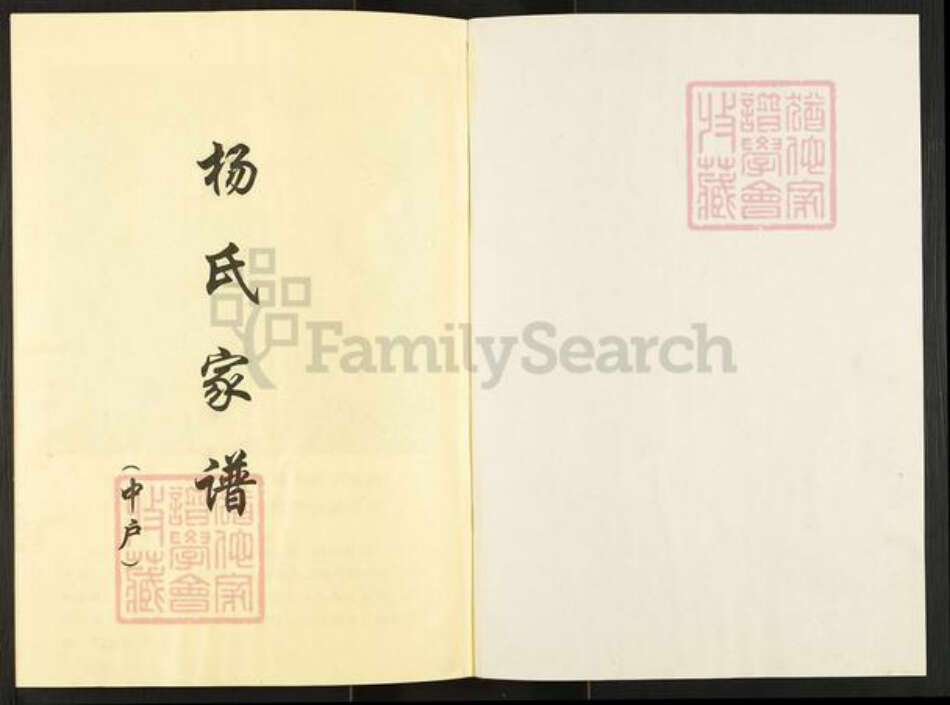 河南省南阳市镇平县晁陂镇杨氏族谱-杨氏家谱.pdf电子版预览图1