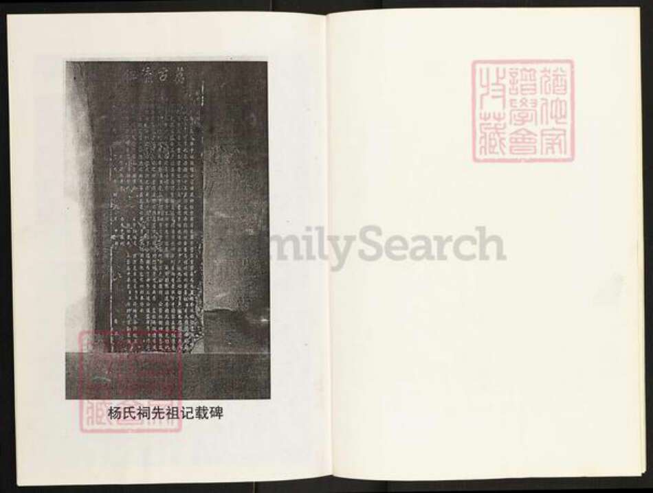 河南省南阳市镇平县晁陂镇杨氏族谱-杨氏家谱.pdf电子版预览图4