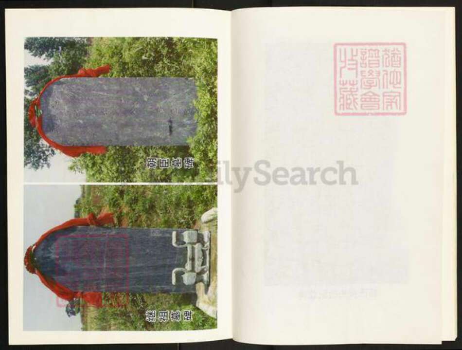 河南省南阳市镇平县晁陂镇杨氏族谱-杨氏家谱.pdf电子版预览图5