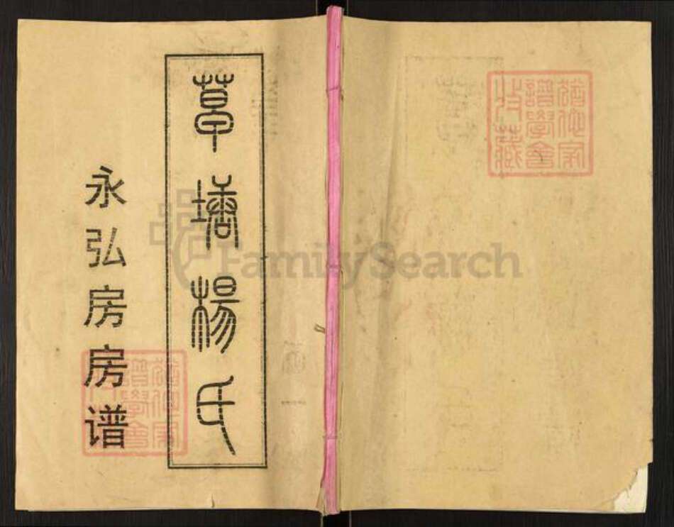 湖南省衡阳市祁东县河洲镇杨氏族谱-草塘杨氏.永弘房房谱.pdf电子版缩略图