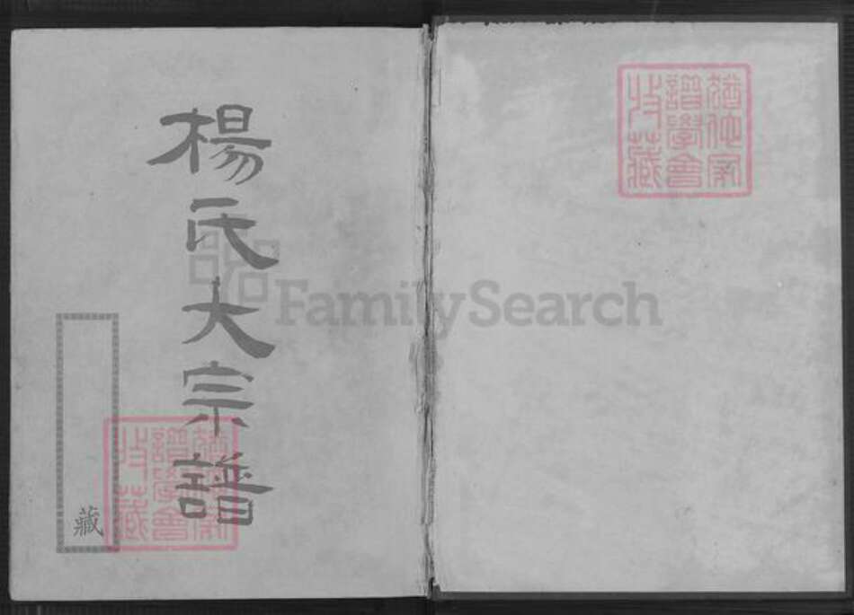 福建省莆田市仙游县园庄镇杨氏关西堂族谱-杨氏大宗谱.pdf电子版预览图1