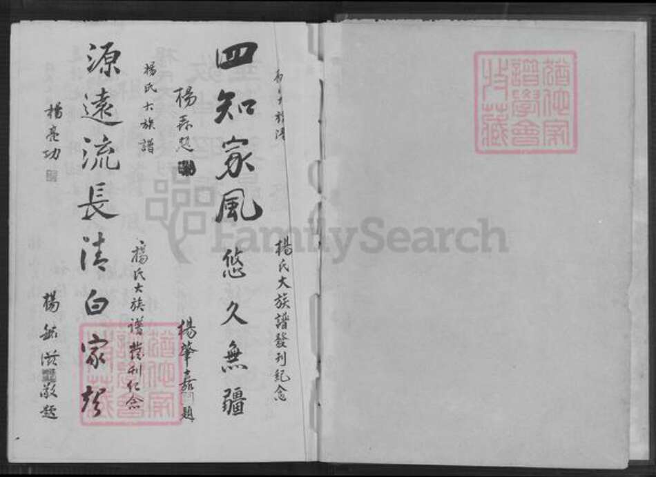 福建省莆田市仙游县园庄镇杨氏关西堂族谱-杨氏大宗谱.pdf电子版预览图2