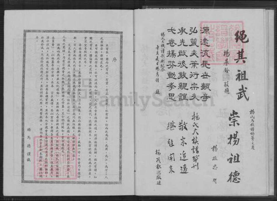 福建省莆田市仙游县园庄镇杨氏关西堂族谱-杨氏大宗谱.pdf电子版预览图4