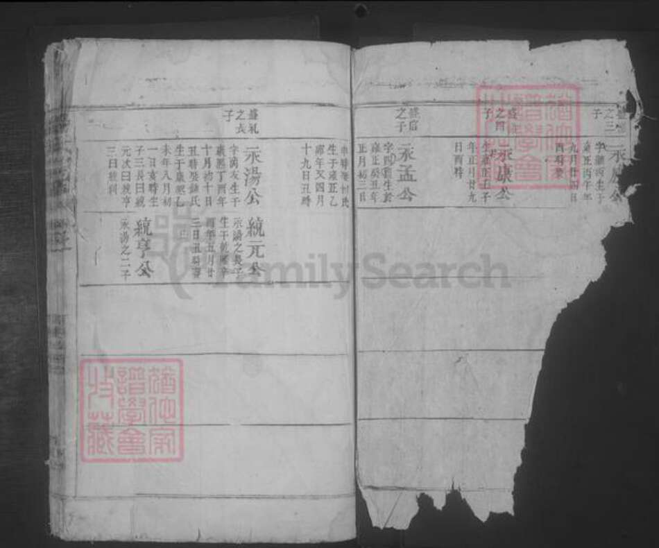 江西省九江市都昌县杨氏族谱-杨氏宗谱 [残卷].pdf电子版预览图2