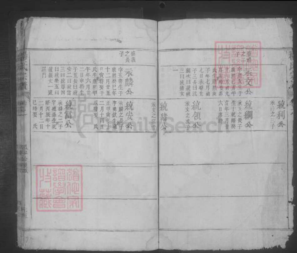 江西省九江市都昌县杨氏族谱-杨氏宗谱 [残卷].pdf电子版预览图3