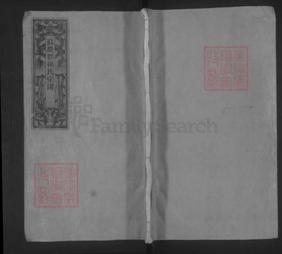 浙江省温州市平阳县杨氏族谱-杨氏宗谱 [不分卷].pdf电子版缩略图