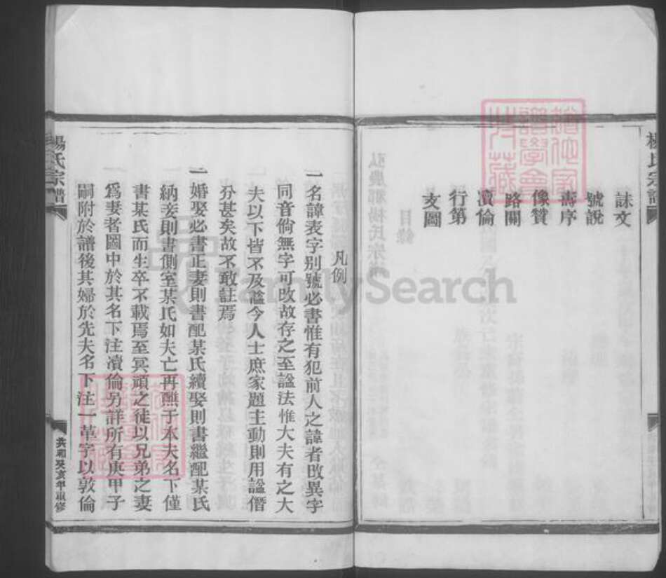 浙江省温州市平阳县杨氏族谱-杨氏宗谱 [不分卷].pdf电子版预览图5