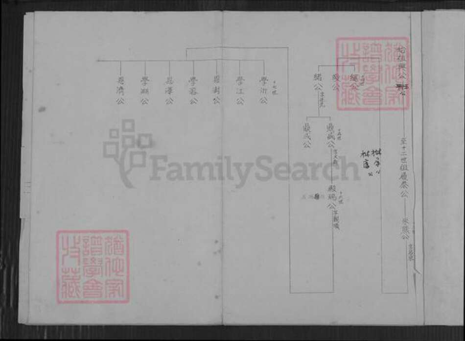 江苏省连云港市海洲区杨氏族谱-海州杨氏小宗世系表.pdf电子版预览图2