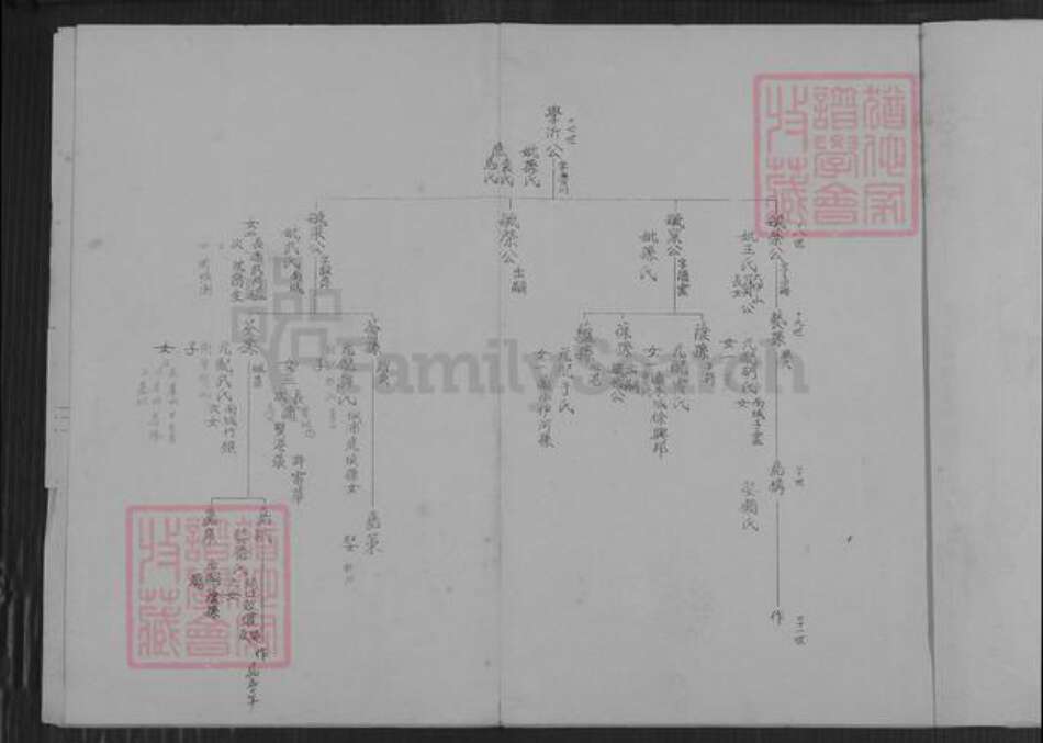 江苏省连云港市海洲区杨氏族谱-海州杨氏小宗世系表.pdf电子版预览图3