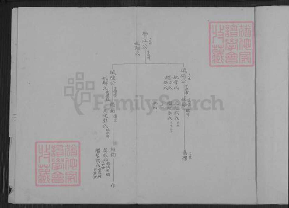 江苏省连云港市海洲区杨氏族谱-海州杨氏小宗世系表.pdf电子版预览图4