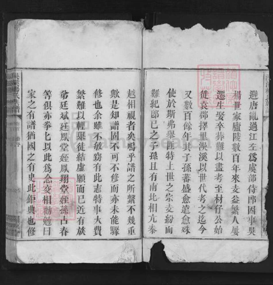 江西省宜春市袁州区杨氏闗西堂族谱-洖溪杨氏族谱.pdf电子版预览图2