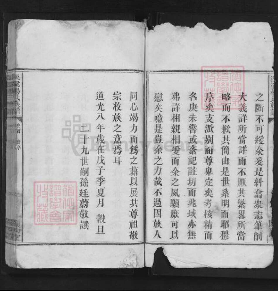 江西省宜春市袁州区杨氏闗西堂族谱-洖溪杨氏族谱.pdf电子版预览图3