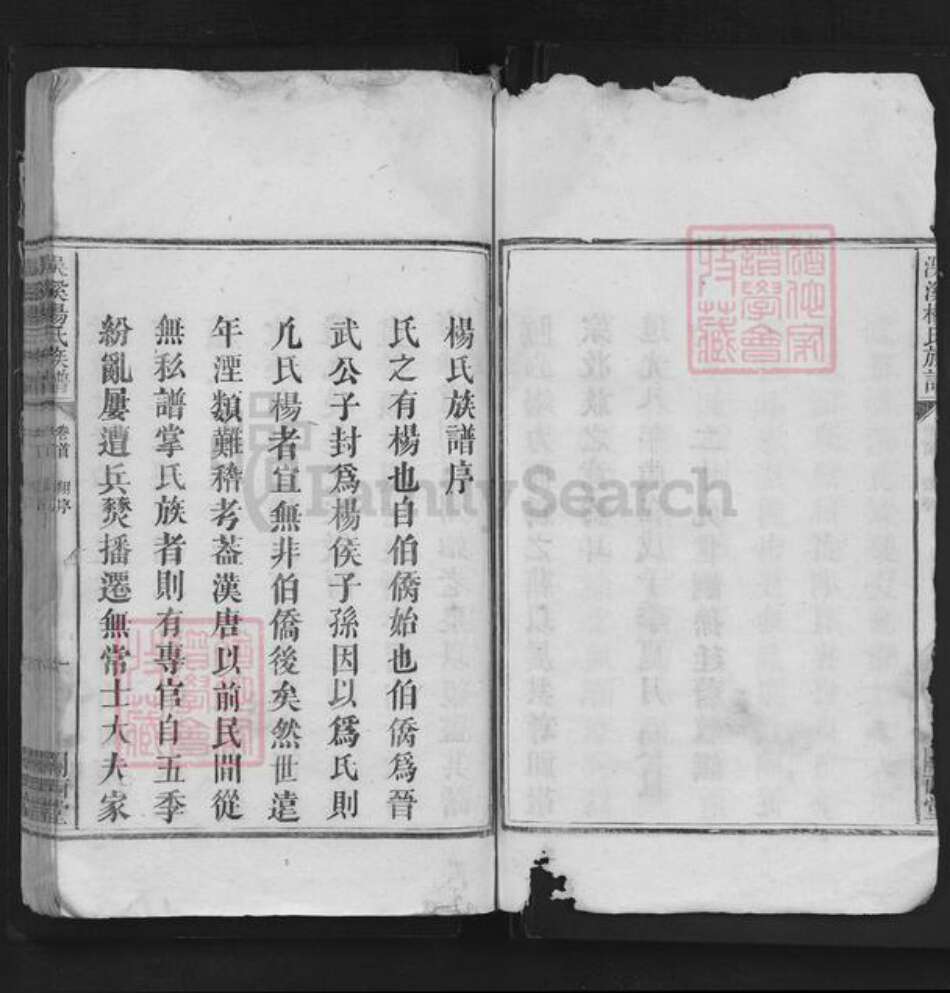 江西省宜春市袁州区杨氏闗西堂族谱-洖溪杨氏族谱.pdf电子版预览图4