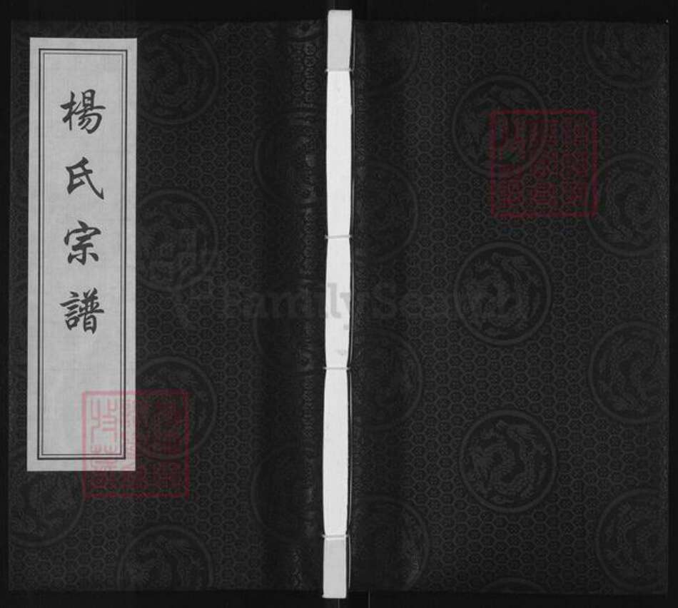 江苏省盐城市阜宁县杨氏四知堂族谱-杨氏宗谱.pdf电子版缩略图