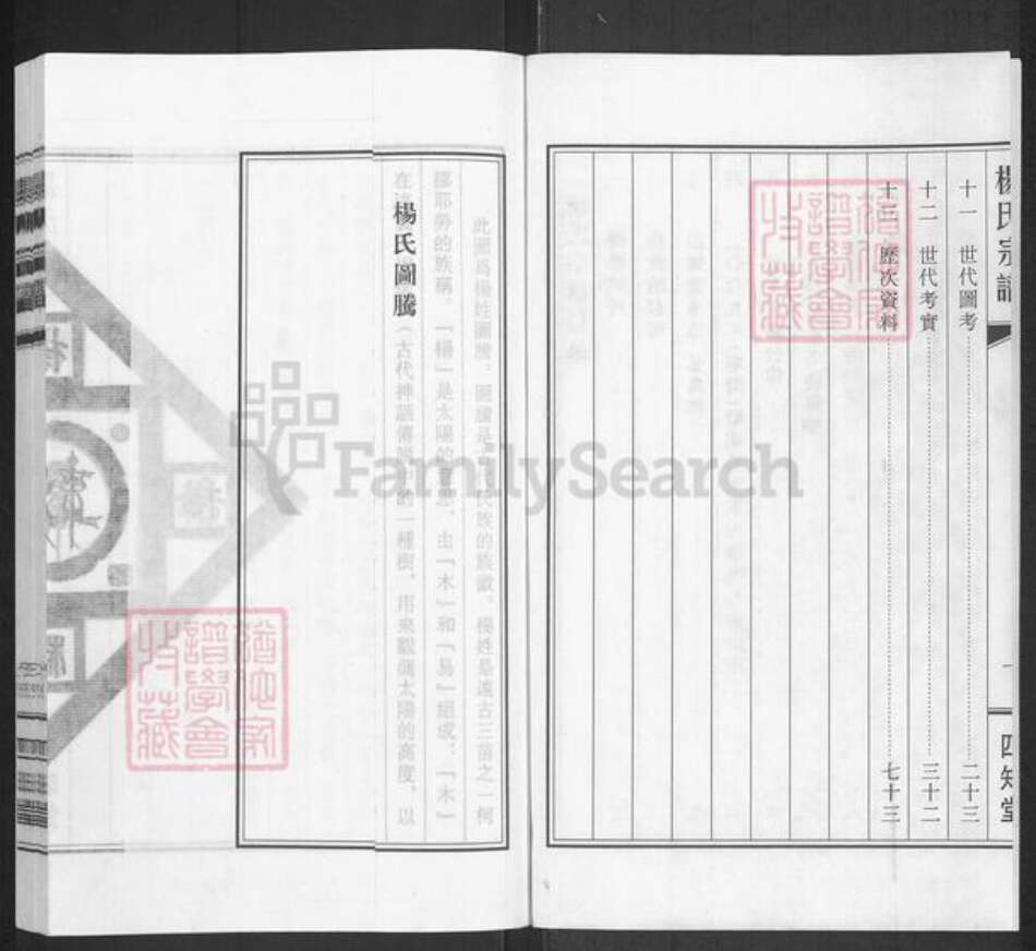 江苏省盐城市阜宁县杨氏四知堂族谱-杨氏宗谱.pdf电子版预览图2