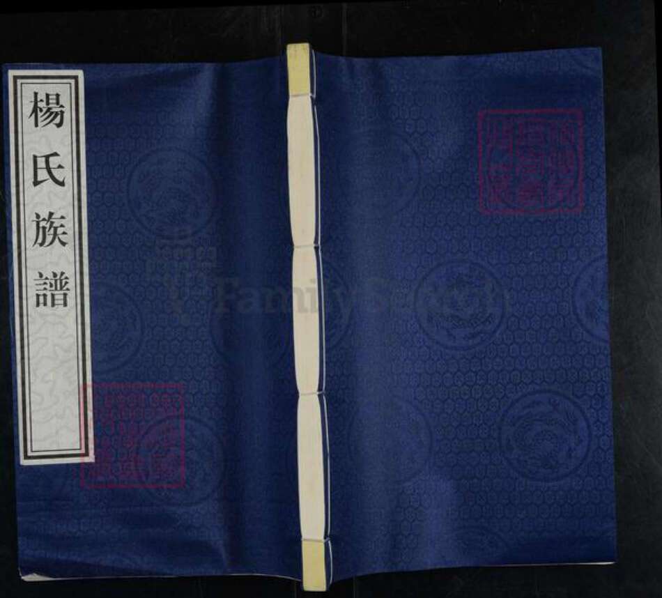 山东省泰安市新泰市汶南镇杨氏族谱-杨氏族谱.pdf电子版缩略图