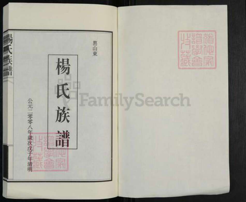 山东省泰安市新泰市汶南镇杨氏族谱-杨氏族谱.pdf电子版预览图1