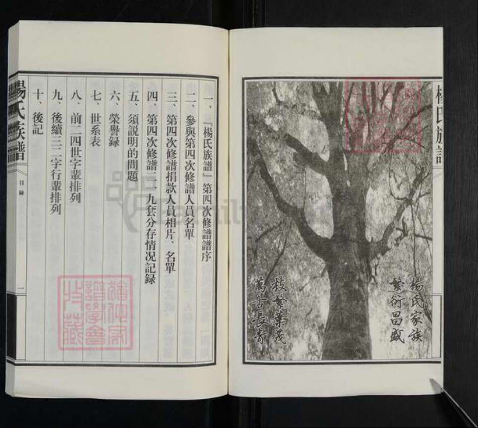 山东省泰安市新泰市汶南镇杨氏族谱-杨氏族谱.pdf电子版预览图2