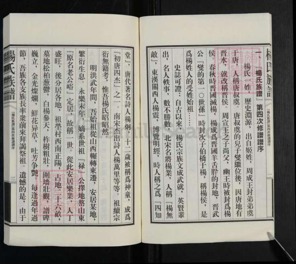 山东省泰安市新泰市汶南镇杨氏族谱-杨氏族谱.pdf电子版预览图3