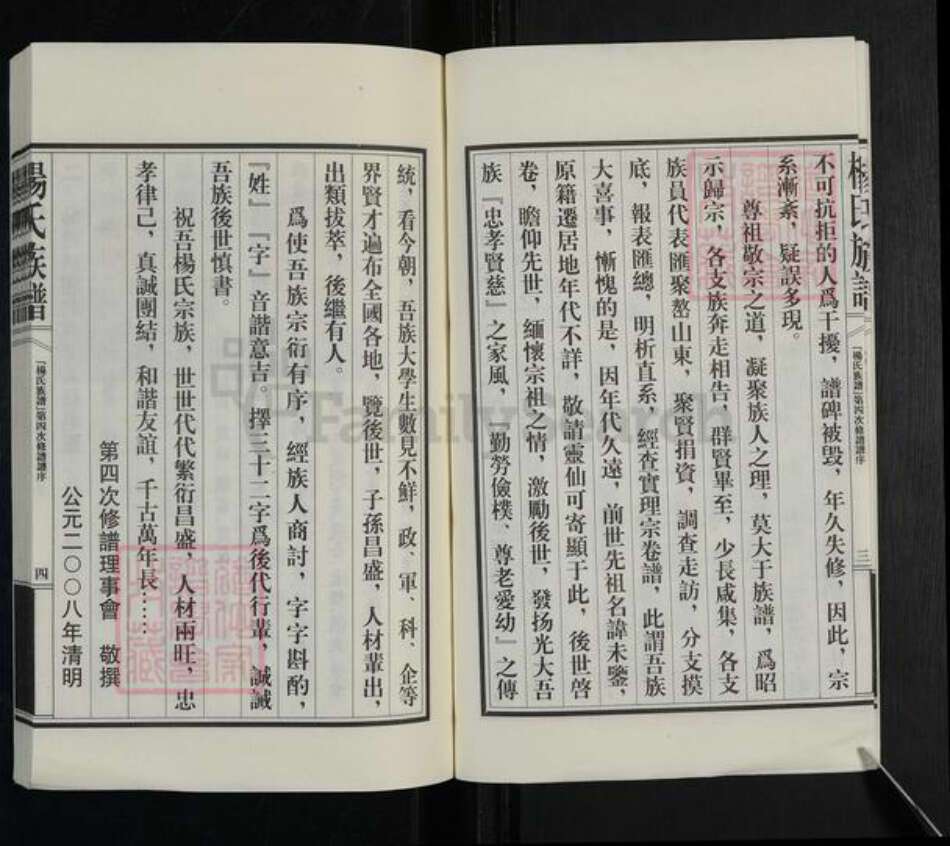 山东省泰安市新泰市汶南镇杨氏族谱-杨氏族谱.pdf电子版预览图4