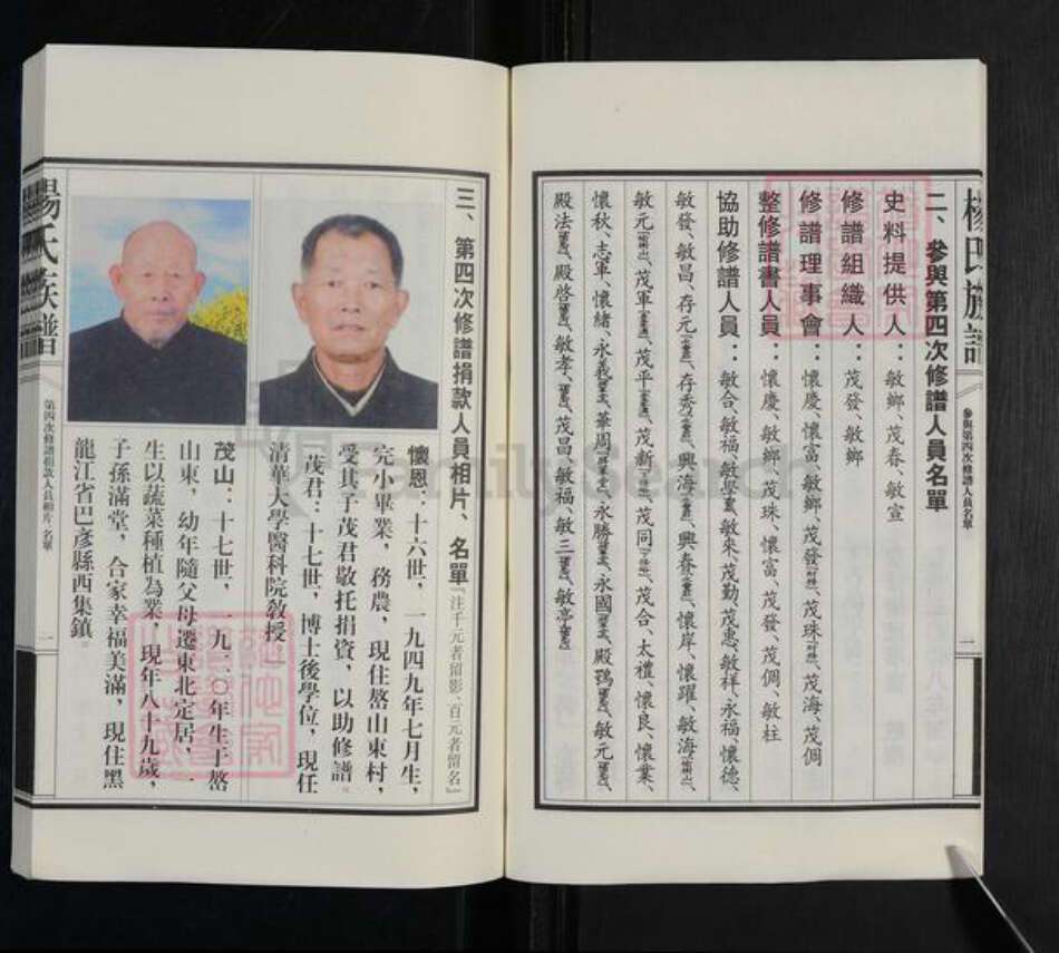 山东省泰安市新泰市汶南镇杨氏族谱-杨氏族谱.pdf电子版预览图5