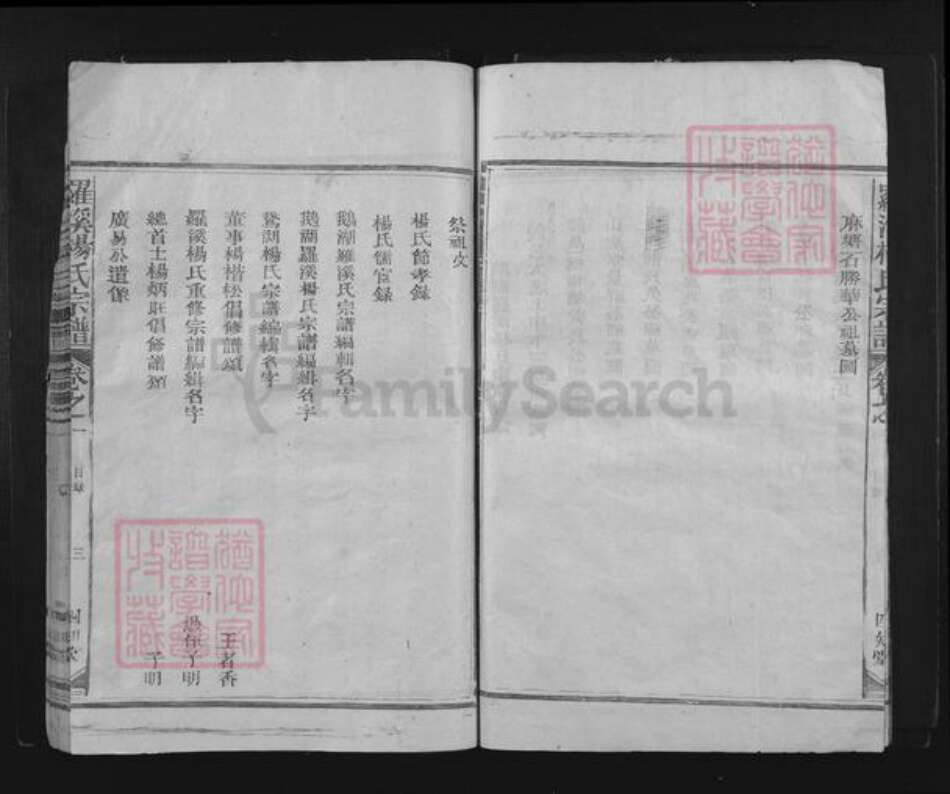 江西省上饶市铅山县鹅湖镇杨氏四知堂族谱-罗溪杨氏宗谱.pdf电子版预览图4