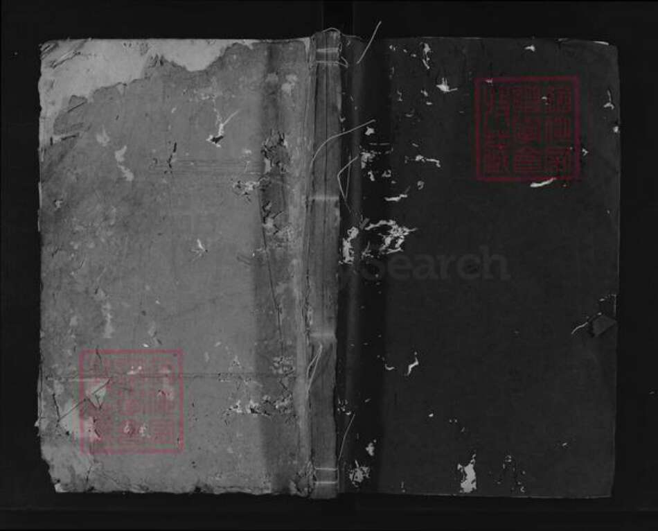 浙江省绍兴新昌县杨氏族谱-彩烟杨氏思存祠宗谱.pdf电子版缩略图