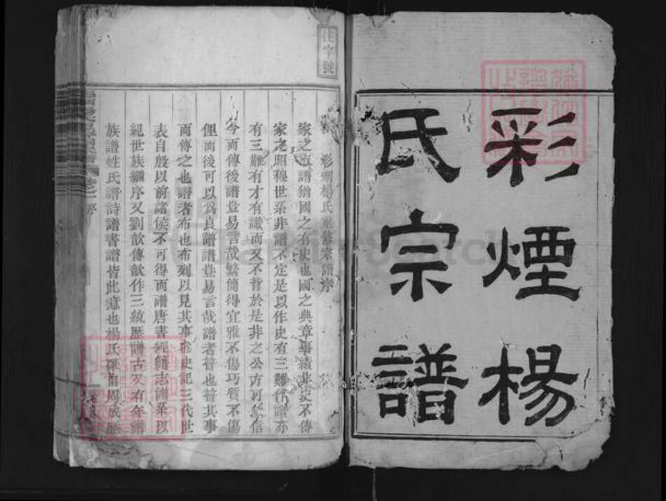 浙江省绍兴新昌县杨氏族谱-彩烟杨氏思存祠宗谱.pdf电子版预览图1