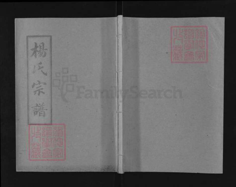 湖北省天门市竟陵街道杨氏三鳣堂族谱-杨氏宗谱.pdf电子版缩略图