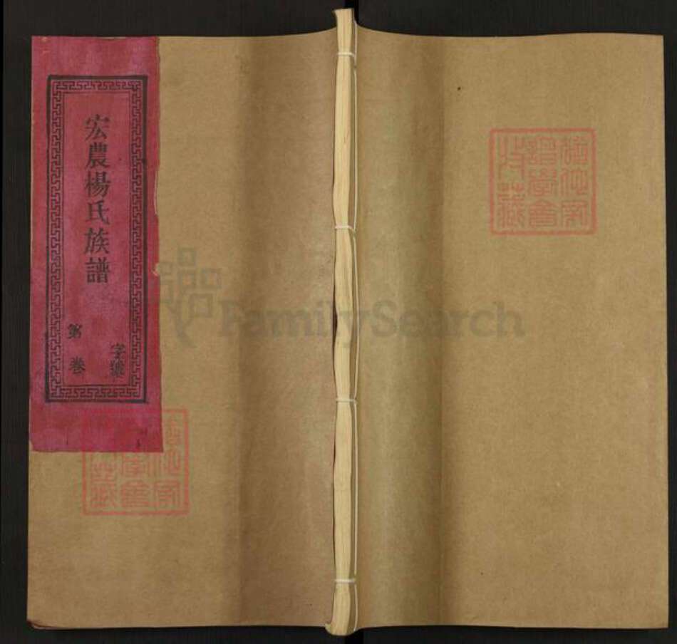 福建省三明市宁化县中沙乡杨氏族谱-宏农杨氏族谱.pdf电子版缩略图