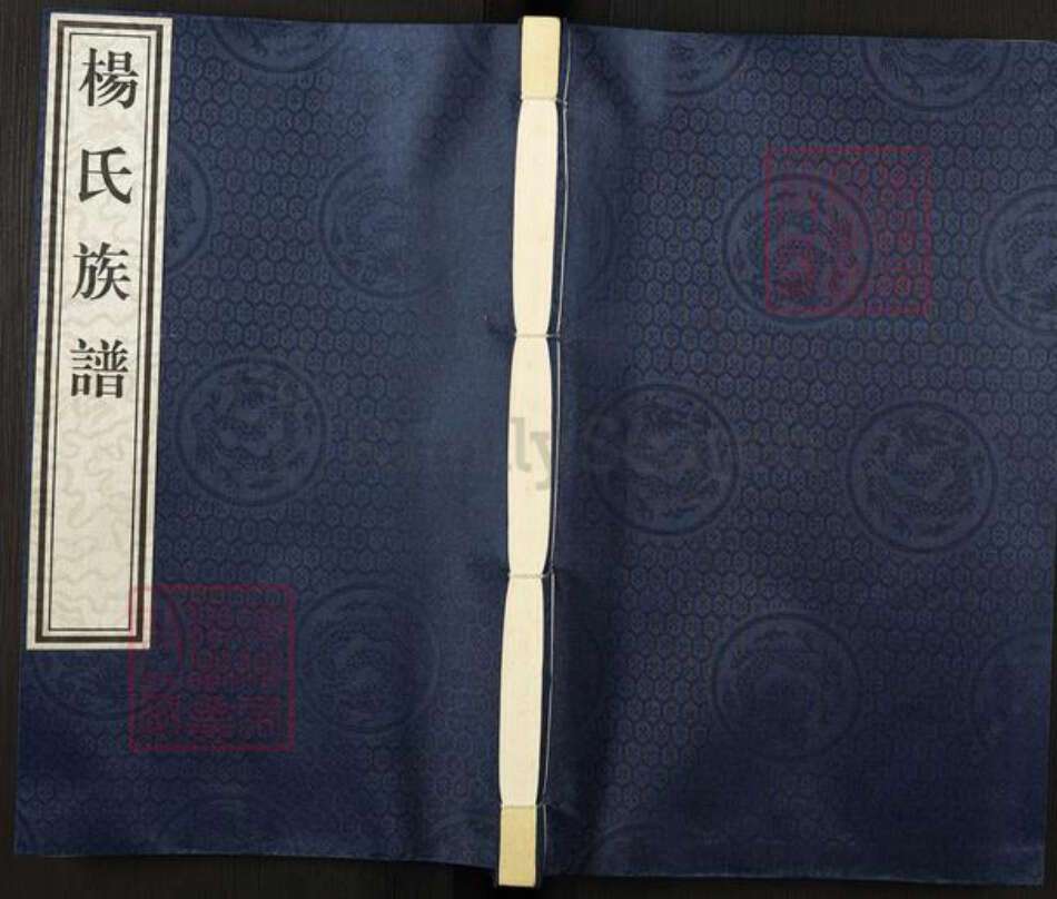 山东省泰安市新泰市汶南镇杨氏族谱-杨氏族谱.pdf电子版缩略图